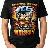 The Only Place I want To See Ice