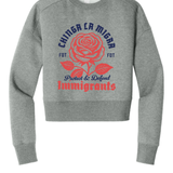 Protect and Defend Immigrants