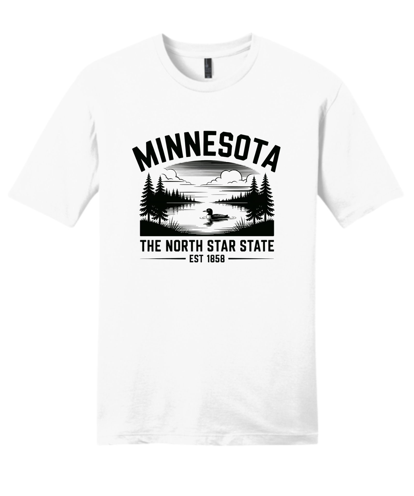 Minnesota the North Star State