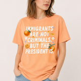 Immigrants Are Not Illegal But The President Is Tee