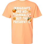 Immigrants Are Not Illegal But The President Is Tee - Hands Off United