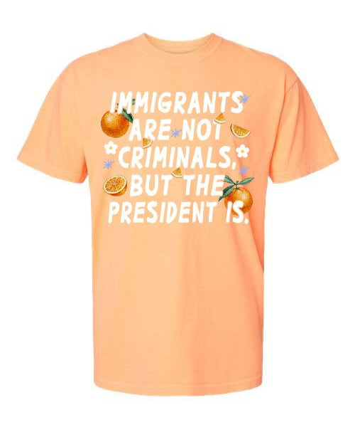 Immigrants Are Not Illegal But The President Is Tee - Hands Off United